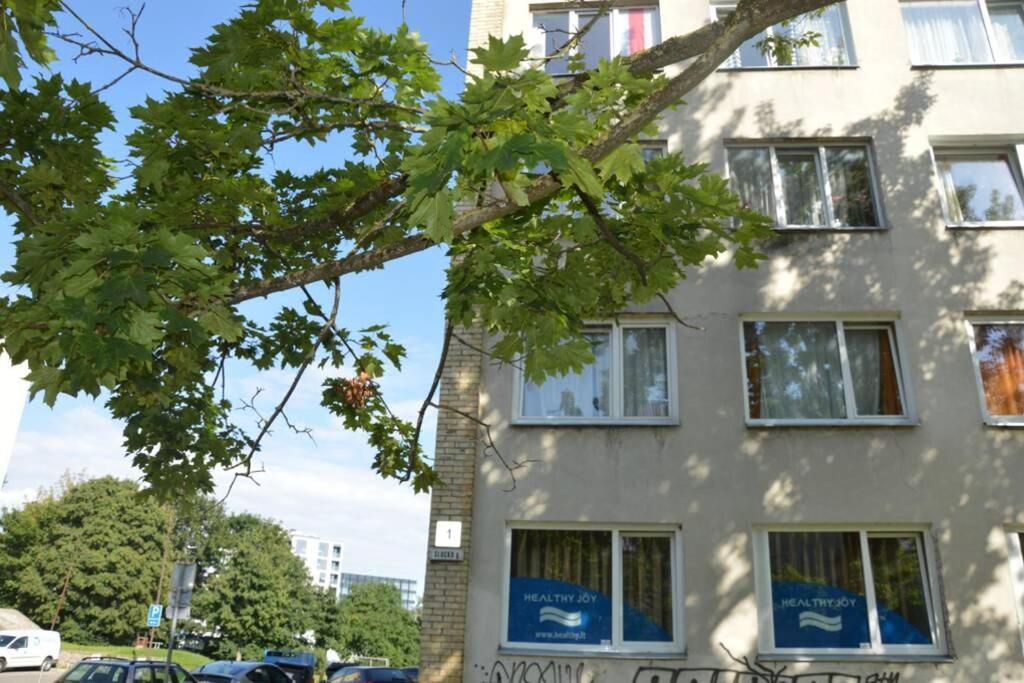 Slucko Central Studio Apartment Near River VNO Extérieur photo
