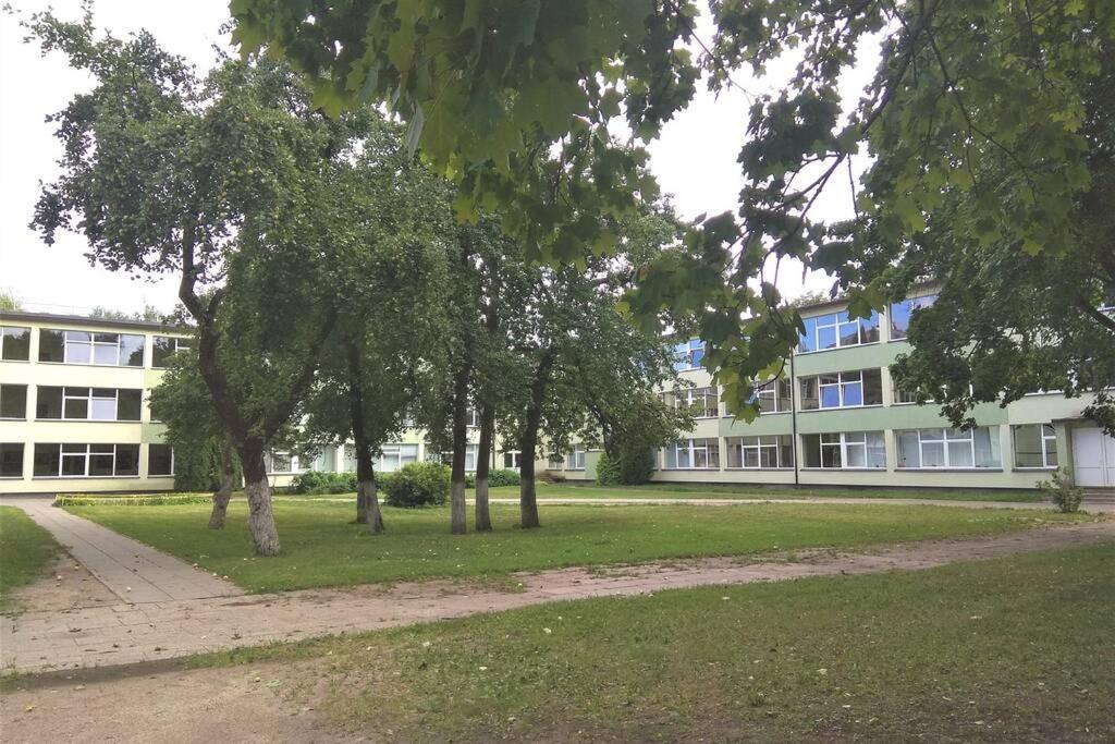 Slucko Central Studio Apartment Near River VNO Extérieur photo