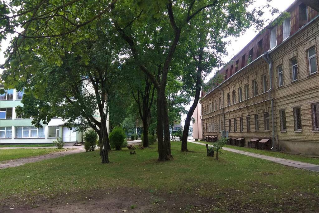 Slucko Central Studio Apartment Near River VNO Extérieur photo