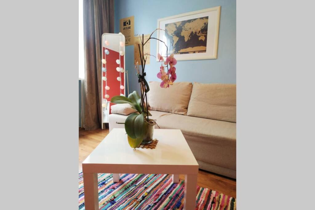 Slucko Central Studio Apartment Near River VNO Extérieur photo